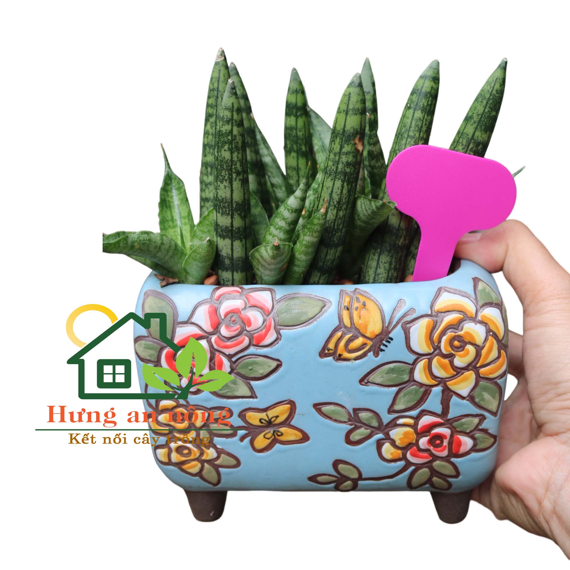 Set 100 Thẻ cắm name tag nhựa có 6 màu lựa chọn 5x7cm