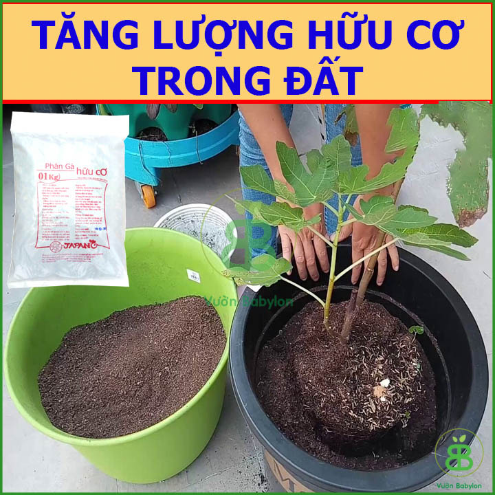 Phân Gà Hữu Cơ Nhật Bản 1KG