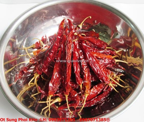 [HCM]ớt sừng trái phơi khô cao cấp 100gram
