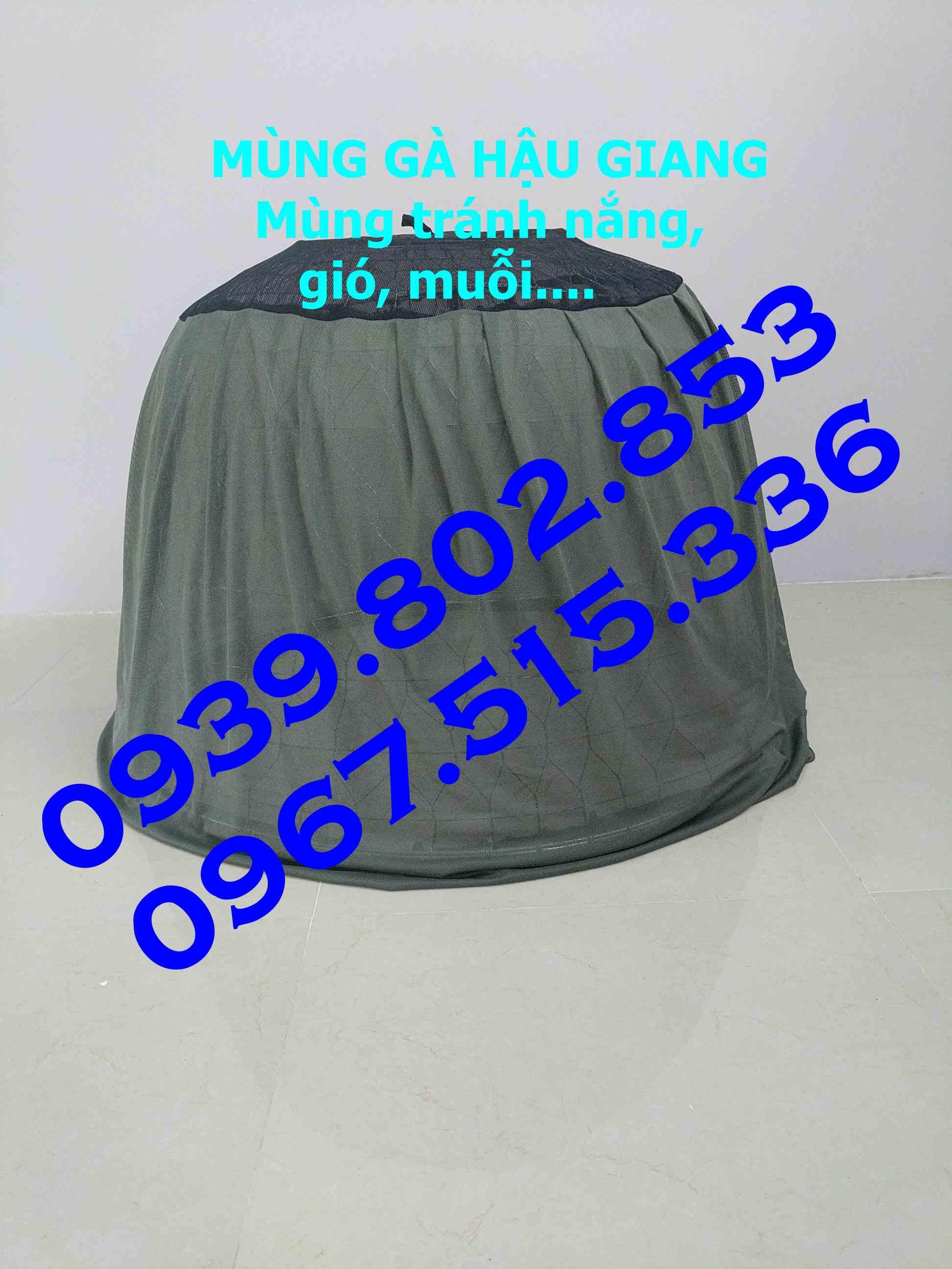 03 Mùng gà nòi giá rẻ | Mùng trùm bội gà | Mùng gà | Màn úp bội gà | Màn gà| Màn trùm bội gà nòi|