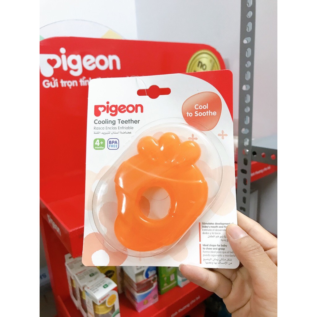 ngậm nướu pigeon