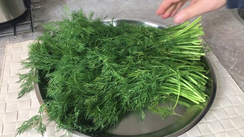 Hạt Giống Thì Là Bốn Mùa