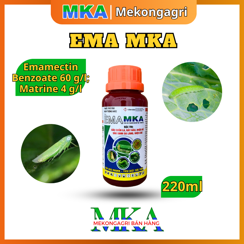 EMA MKA electric kettle