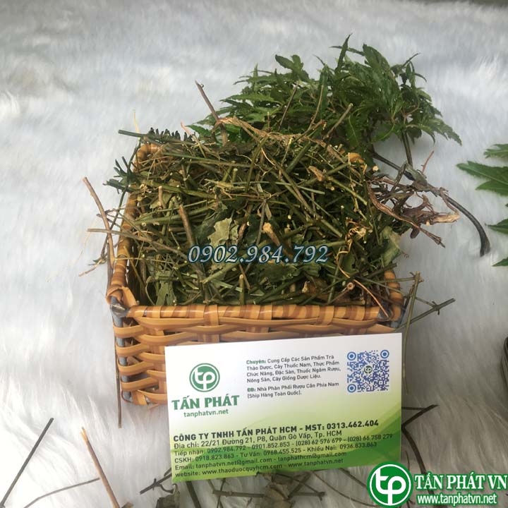 Chè vằng giảm cân 1kg - tấn phát - Hàng sạch chất lượng cao phù hợp cho mọi lứa tuổi