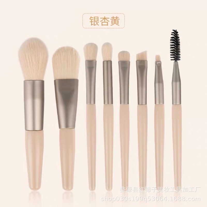 SET 8 CÂY CỌ TRANG ĐIỂM