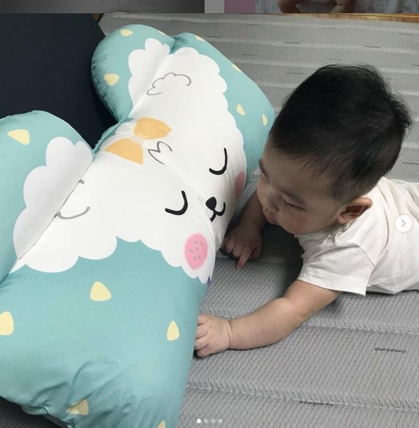 Vỏ gối ôm Wide Zoozoo cho bé
