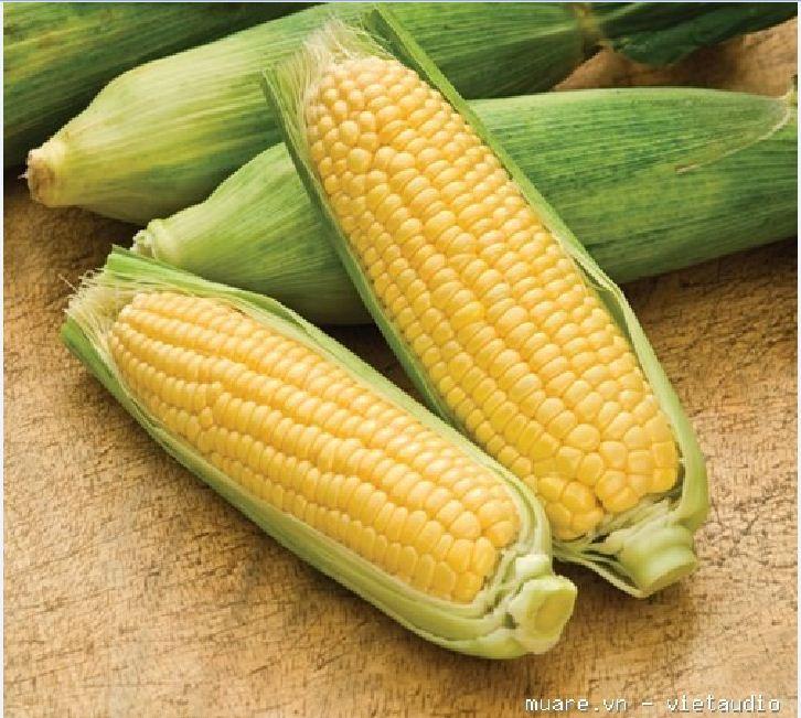 Bộ 3 gói Hạt giống ngô ngọt vàng ( bắp ngọt )