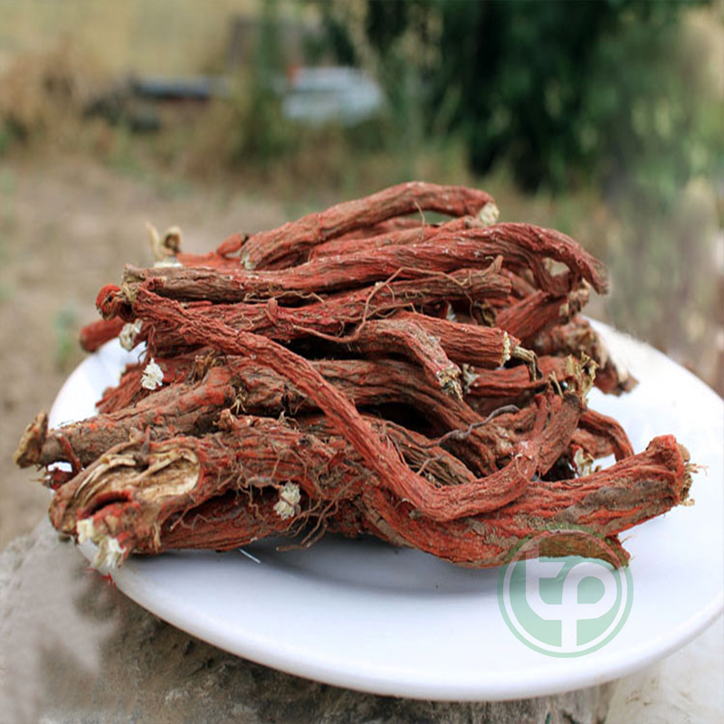 [Hàng công ty] Đan sâm khô 100g - tấn phát - Hàng sạch hỗ trợ hoạt huyết, cải thiện khả năng lưu thông máu