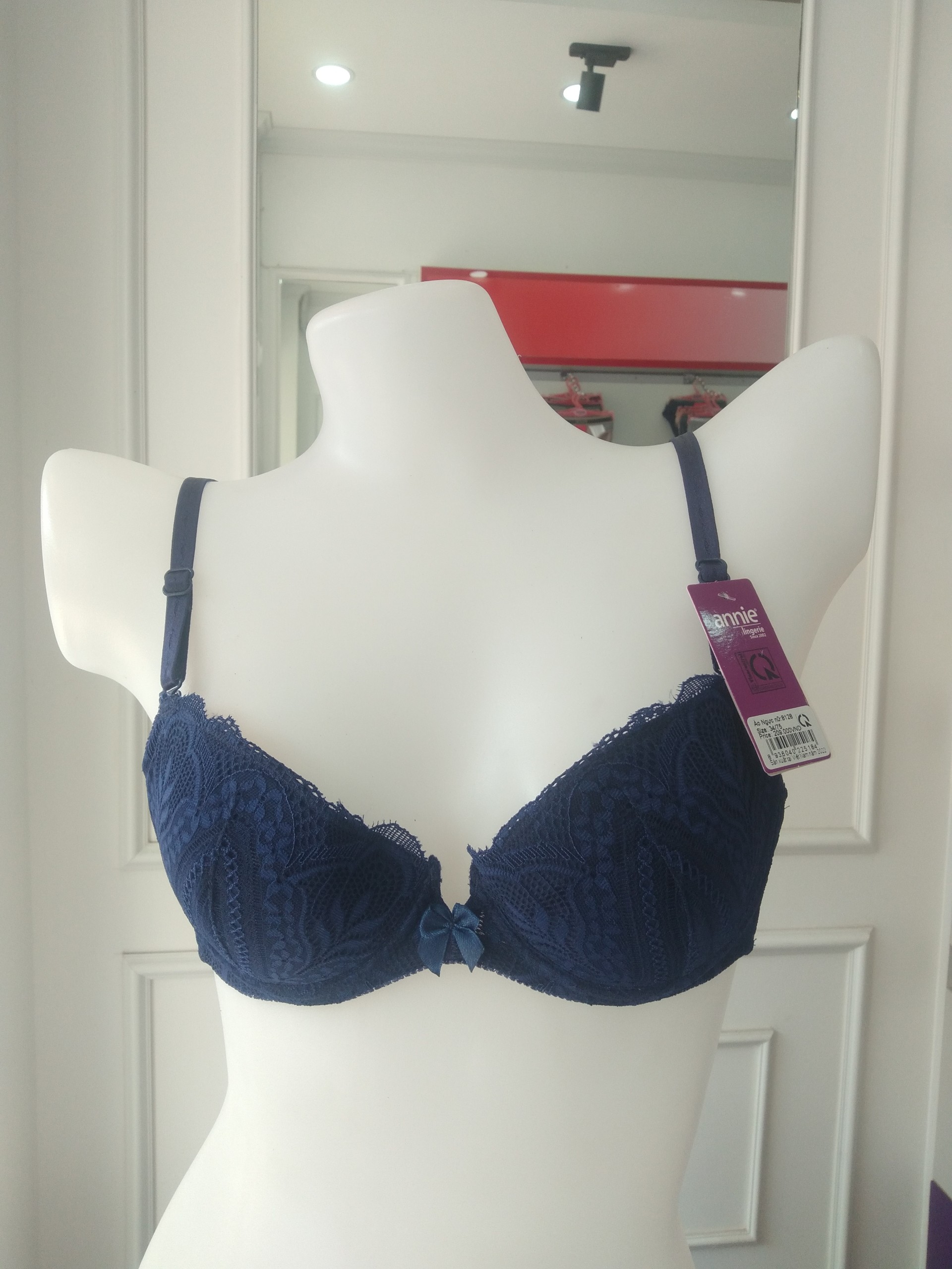Áo ngực annie cao cấp không mút BRA 8128