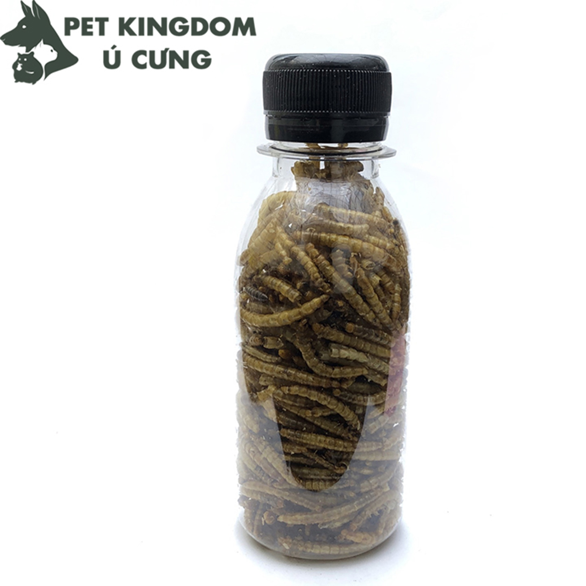 sâu khô cho hamster, nhím, sóc lọ 36gr
