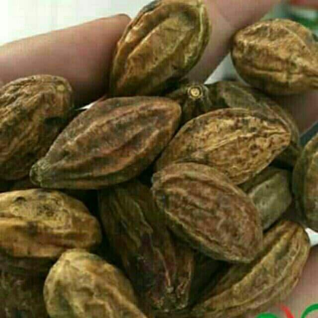 Quả kha tử 100g