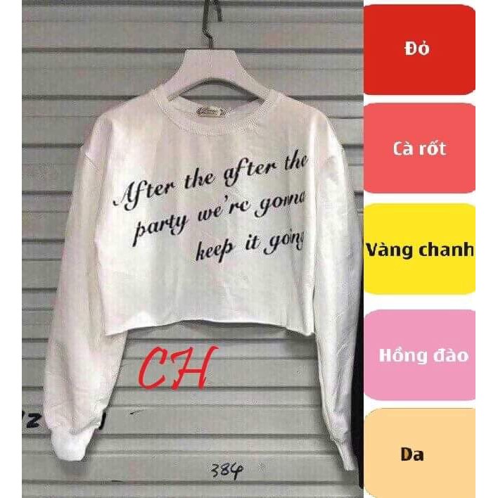 Áo crotop chữ dài tay CH2108