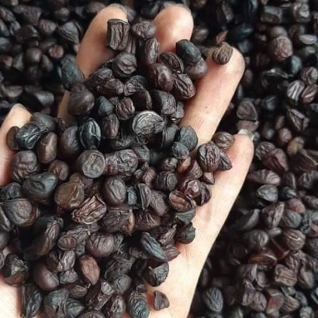 500g hạt dổi nếp rừng