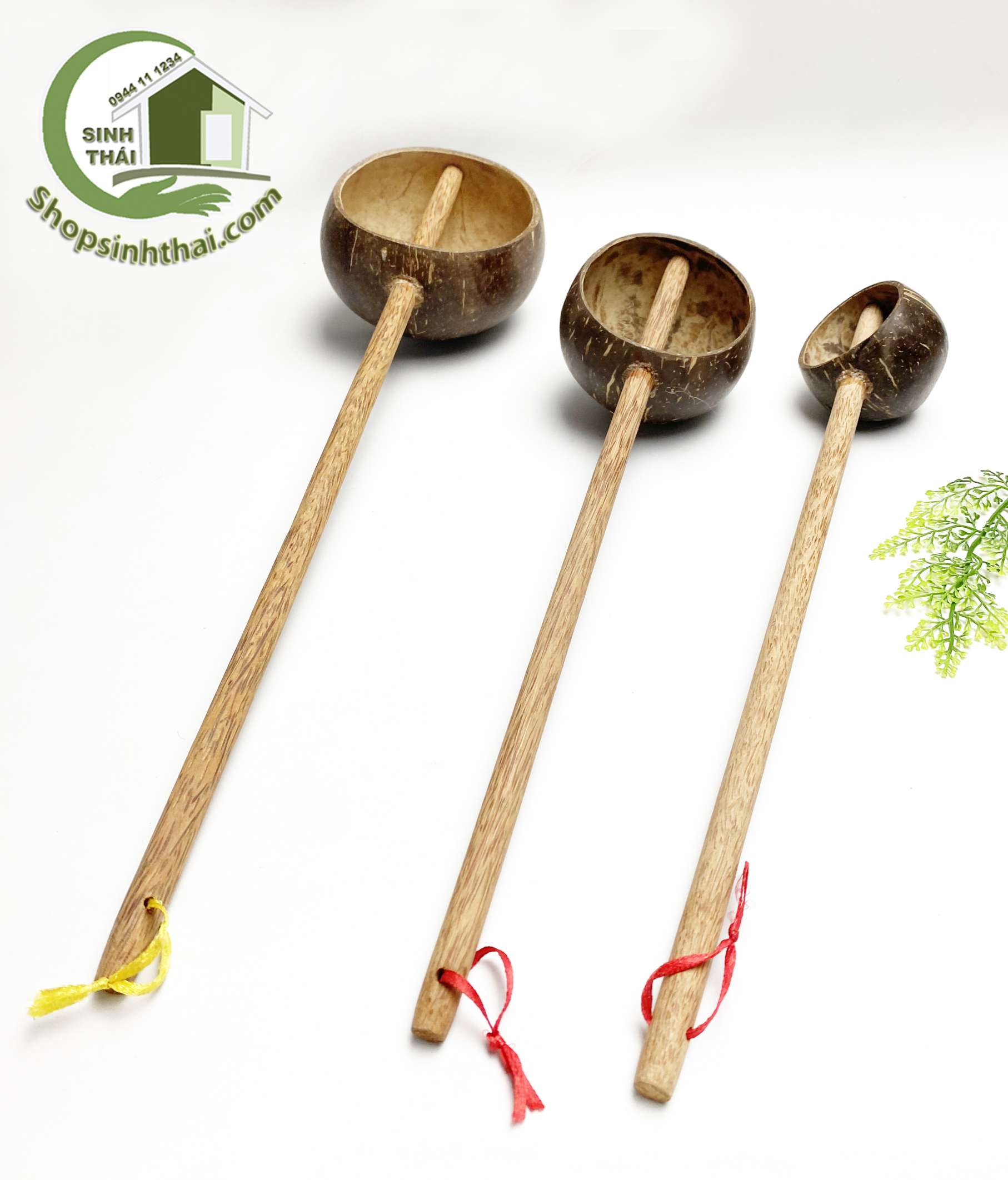 [HCM]Gáo dừa múc nước - chọn gáo