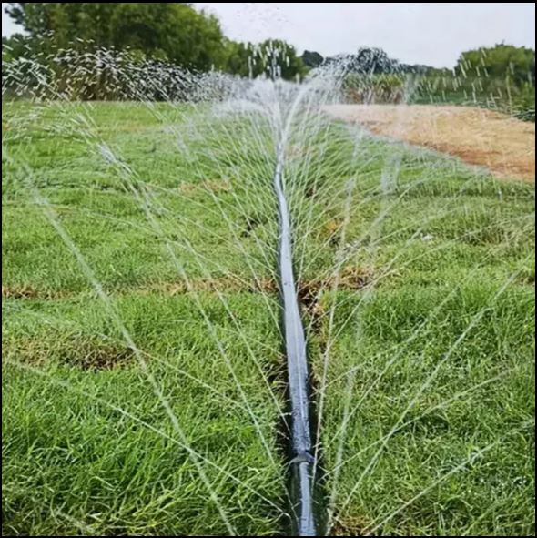 Ống Tưới Phun Mưa Phi 27 34 42mm, Ống Nhưa 2 Lớp Có Lỗ Sẵn Dài 100m Tưới Cây