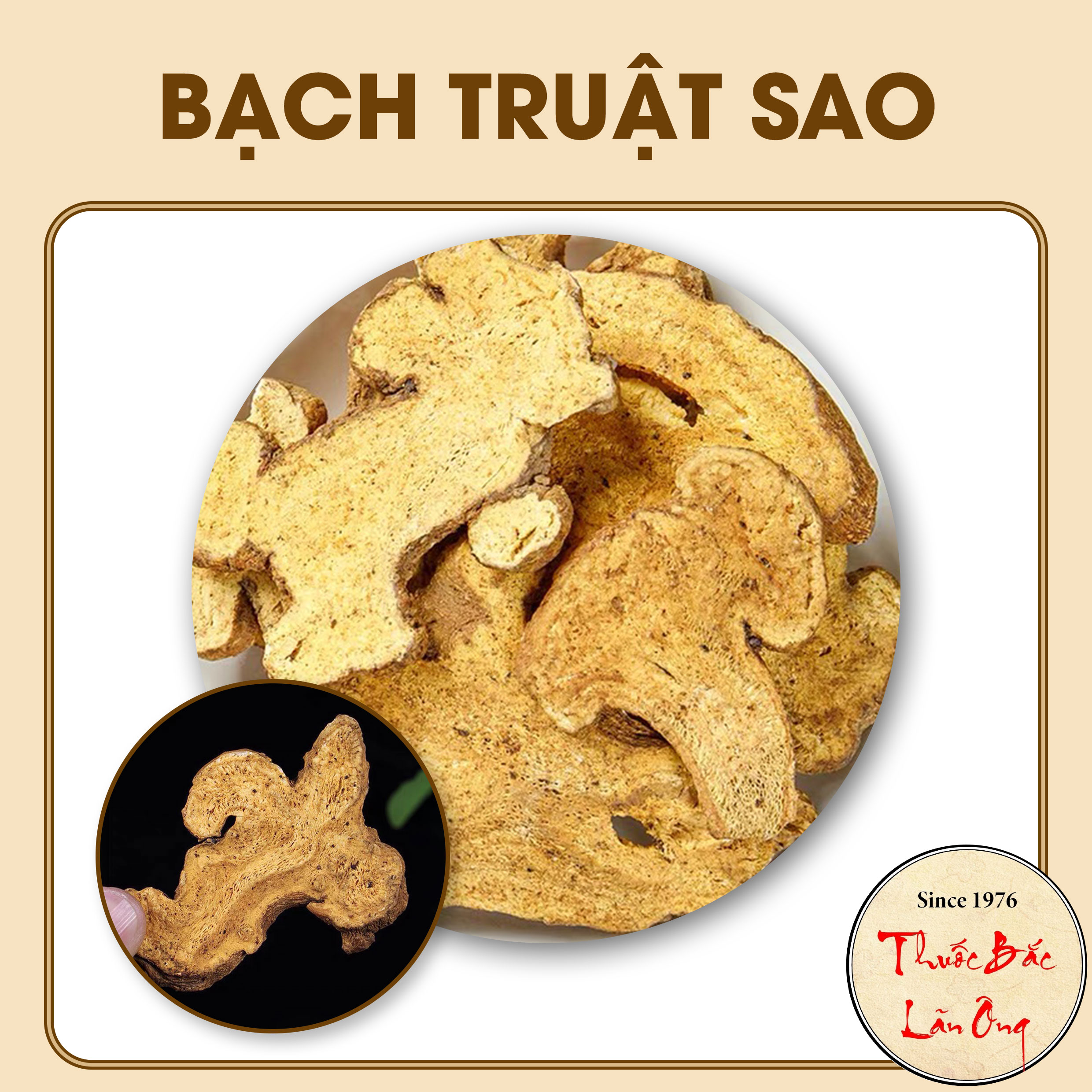 Bạch truật sao vàng, hạ thổ 100g - lãn ông