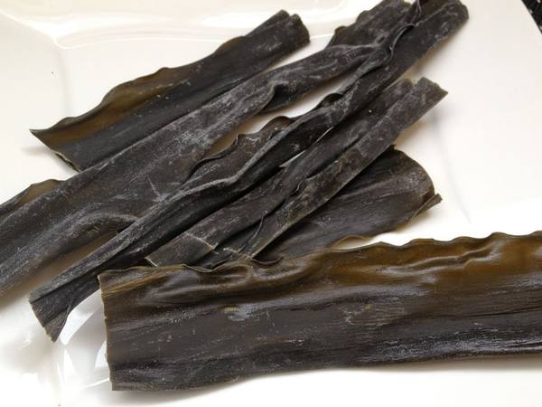 [PROBIOS] Rong biển Kombu hữu cơ (Organic Kombu Dried Seaweed) - 50g