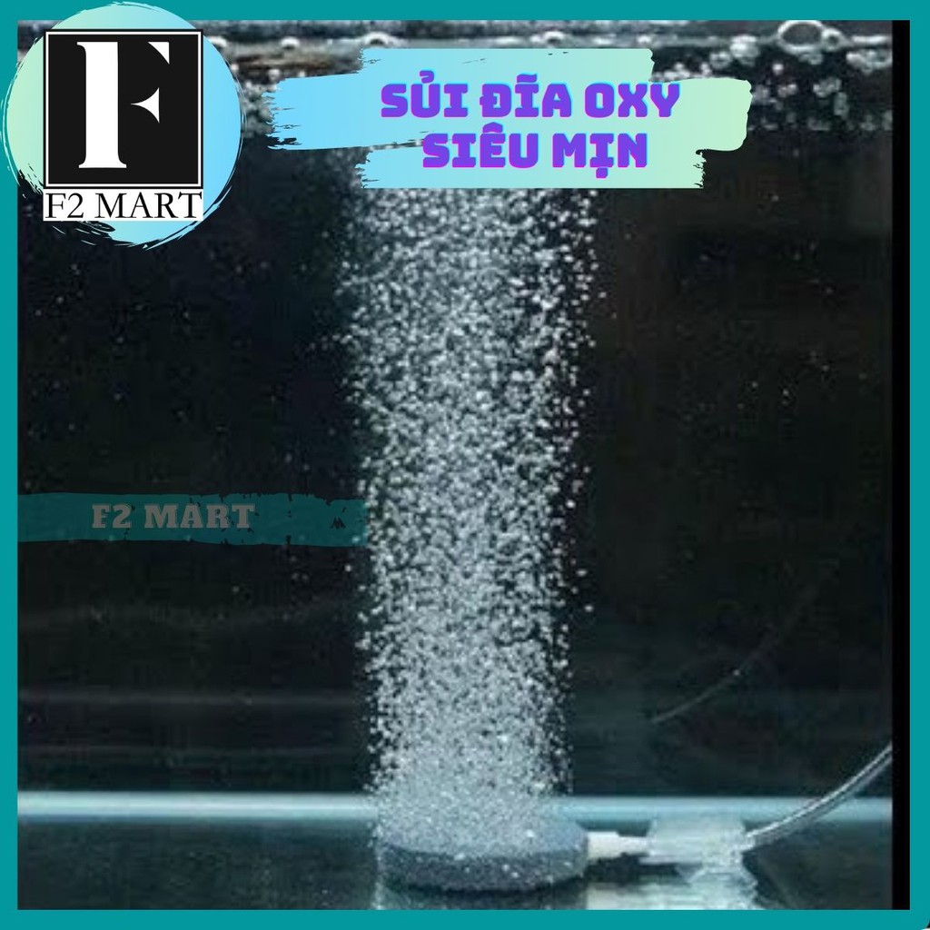 Sủi đĩa oxy siêu mịn 4cm, 6cm, 8cm, 10cm
