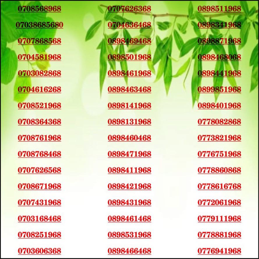 [HCM]Sim đẹp Lộc Phát 68 Mobi