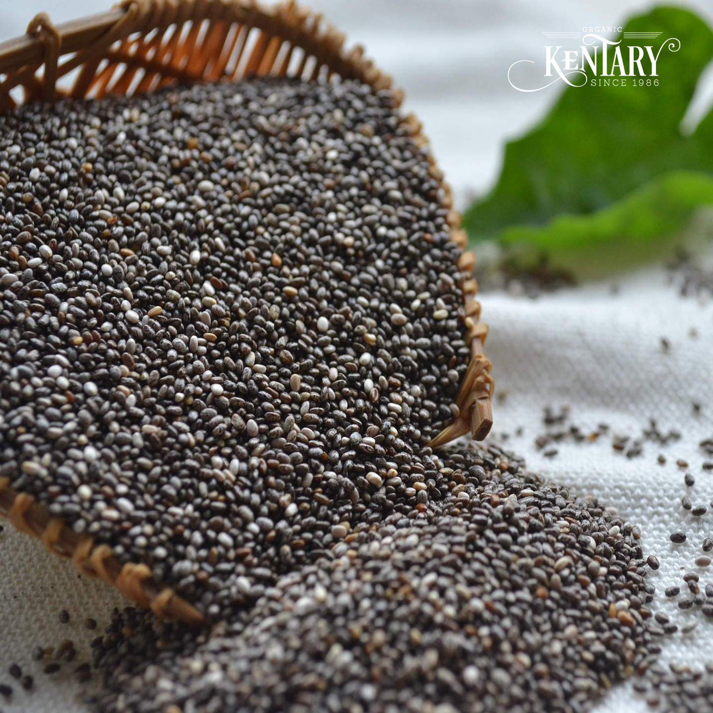 Hạt chia đen Kentary túi 100gr,
