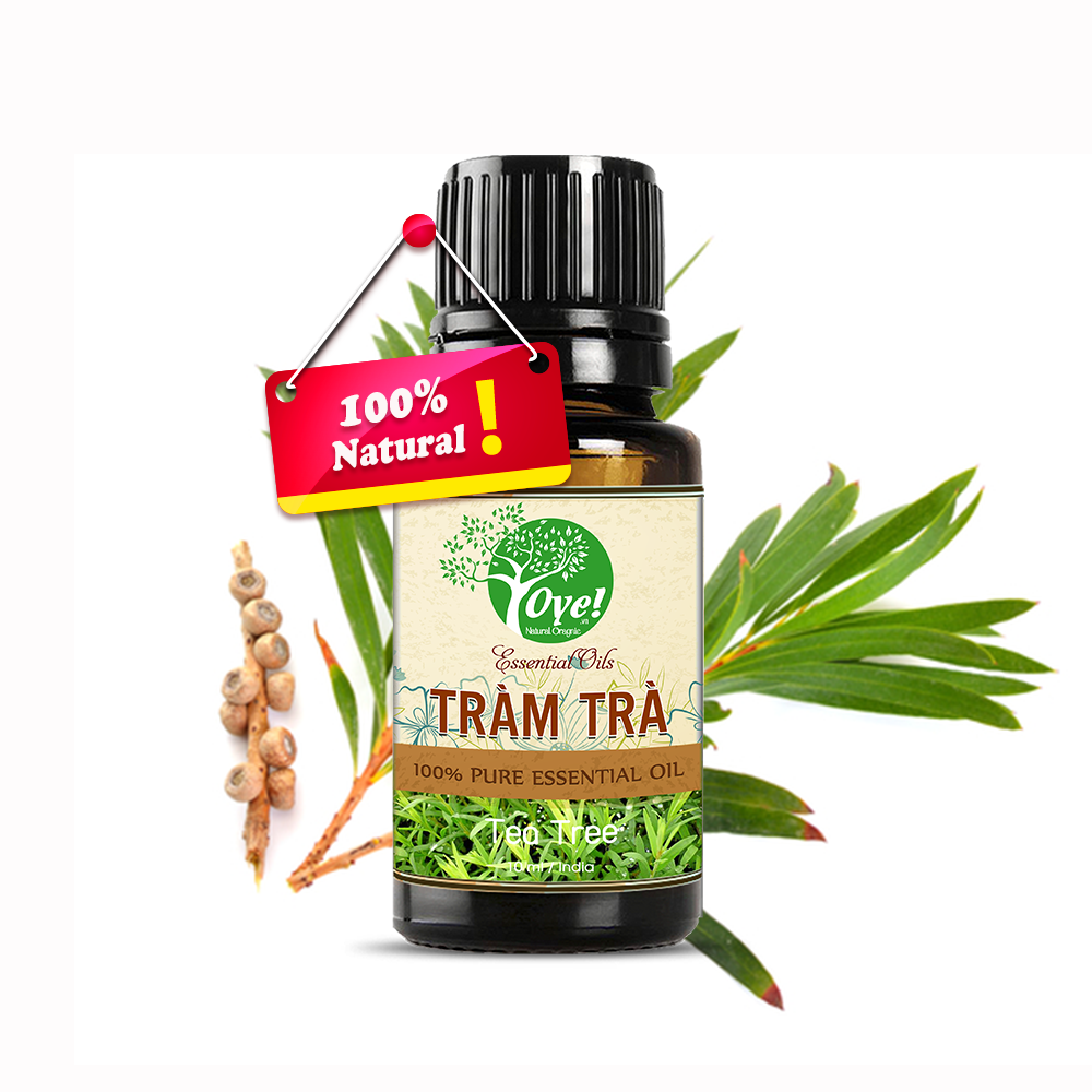 Tinh Dầu Tràm Trà  Đuỗi Muỗi - OYe 10ml