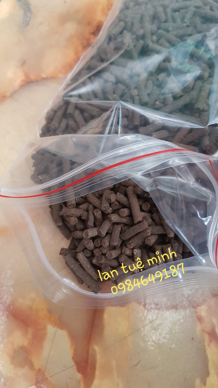 Combo 2kg phân trùn quế
