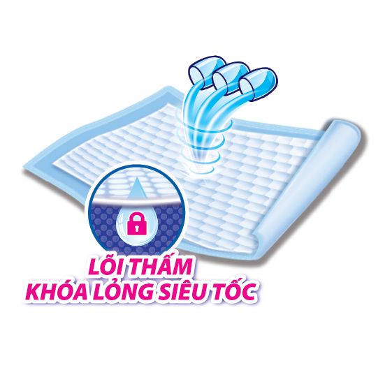 Tấm Đệm Lót Caryn 20 miếng (42x72cm)