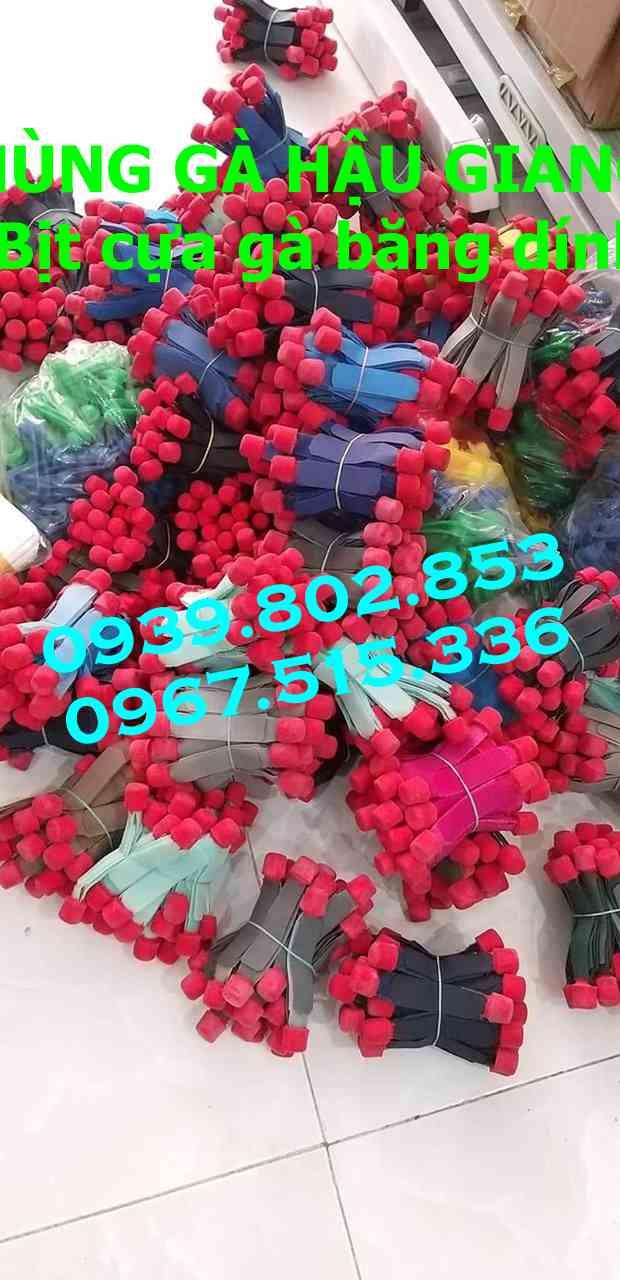 Bịt cựa gà nòi giá rẻ (1 bộ 4 cái)