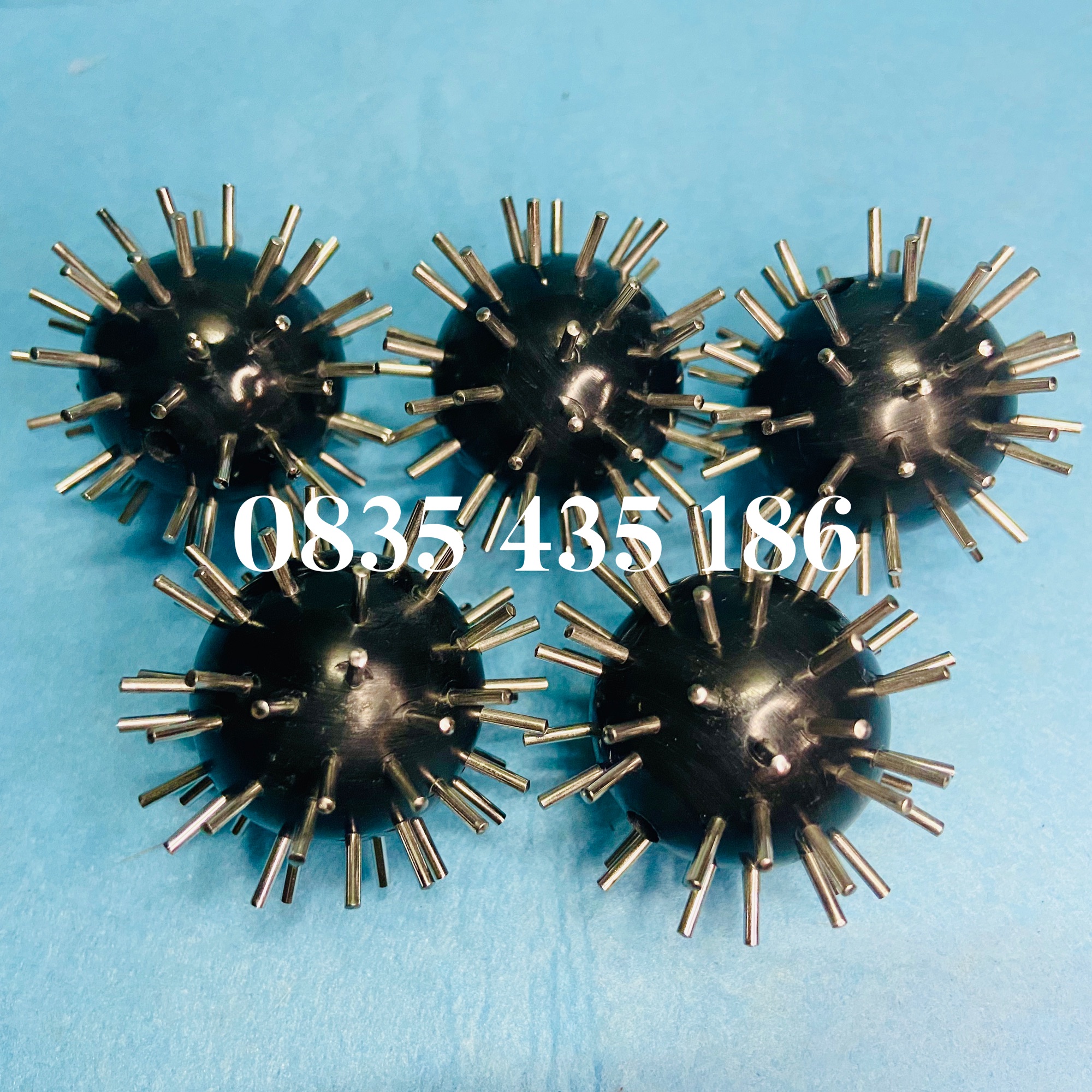 [HCM]Quả Cầu Đinh Diện Chẩn