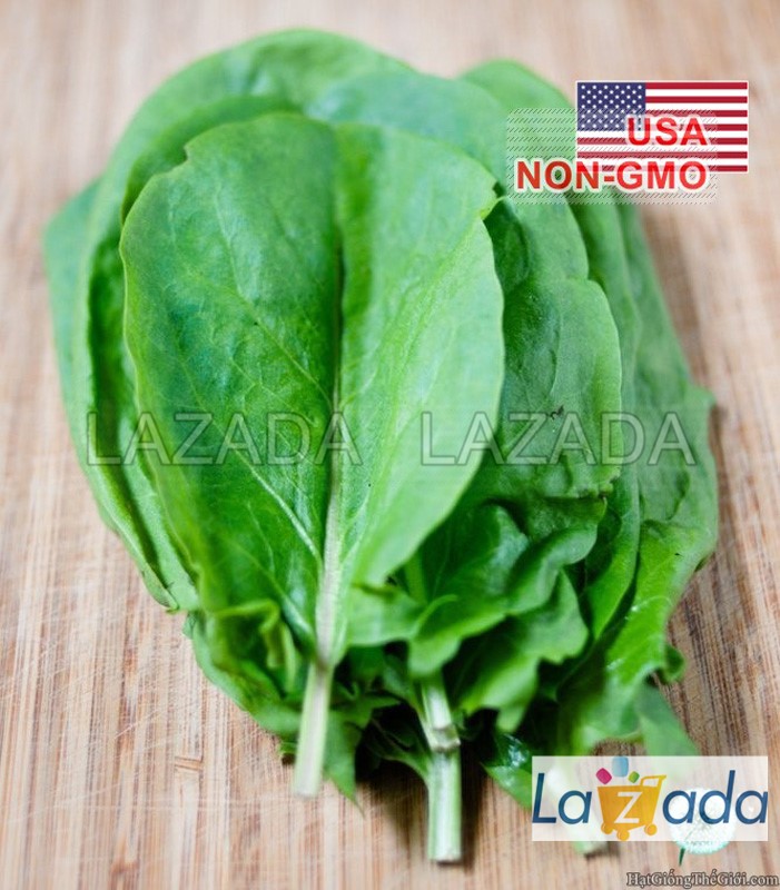 1Gr Hạt Giống Rau Chua Sorrel (TLA0| B43*X32*M166)