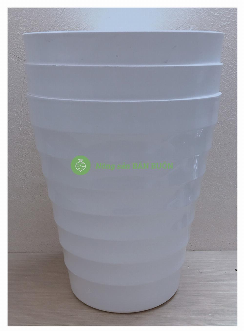 3 Chậu Nhựa Trồng Hoa Cây Cảnh VT Đại KT 32x36 Cm (ĐK Miệng x Cao) Đức Minh