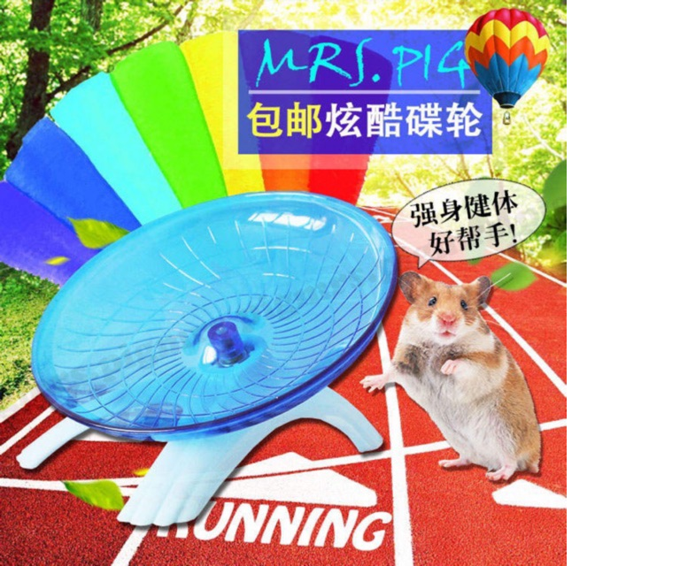 Đĩa bay parabol Carno loại lớn cho hamster
