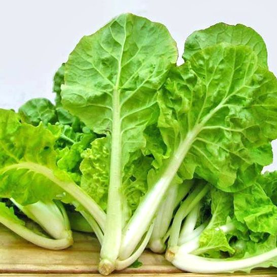 Hạt Giống rau Cải Bẹ Dún-Gói 10gram