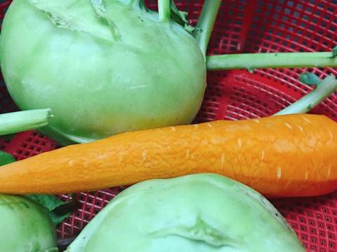 [HCM]Kim Chi Su Hào nhà làm ( 1kg = 80k)