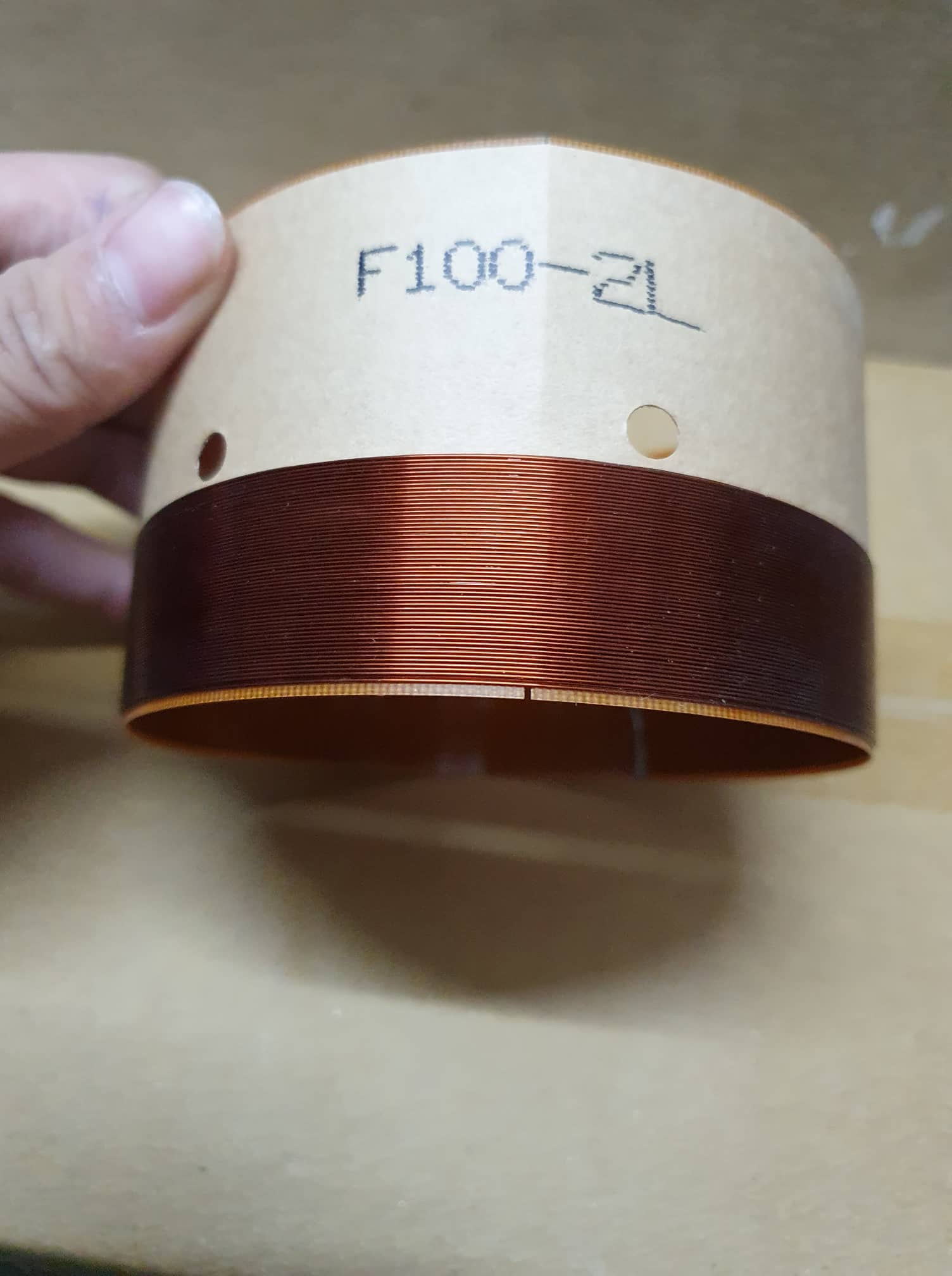 côn loa phip 100 2 lớp