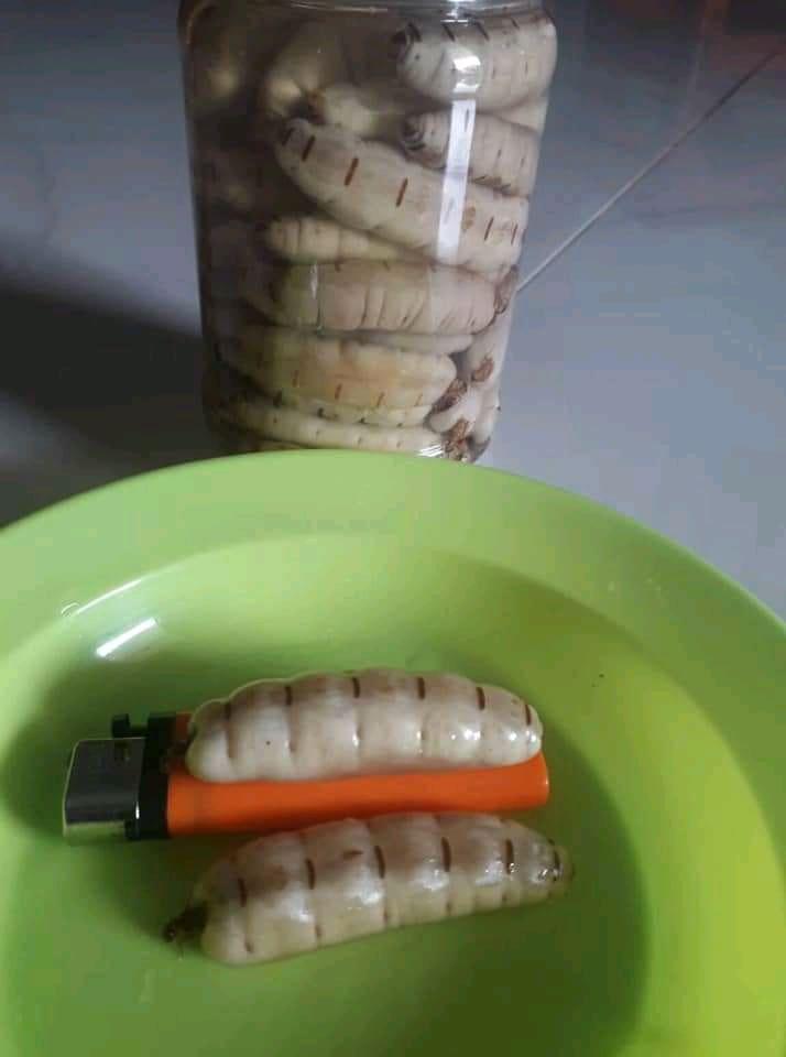 Bà Mối Lớn 20 con