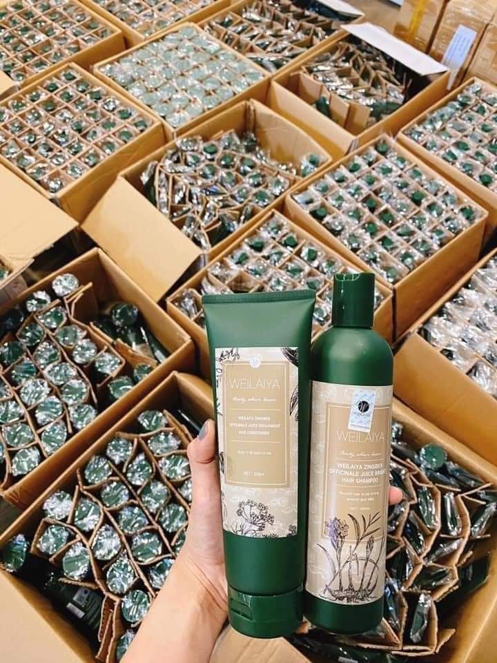 Bộ dầu gội, xả gừng tinh chất hà thủ ô (Weilaiya Zingiber Officinale Juice Repairment Hair)