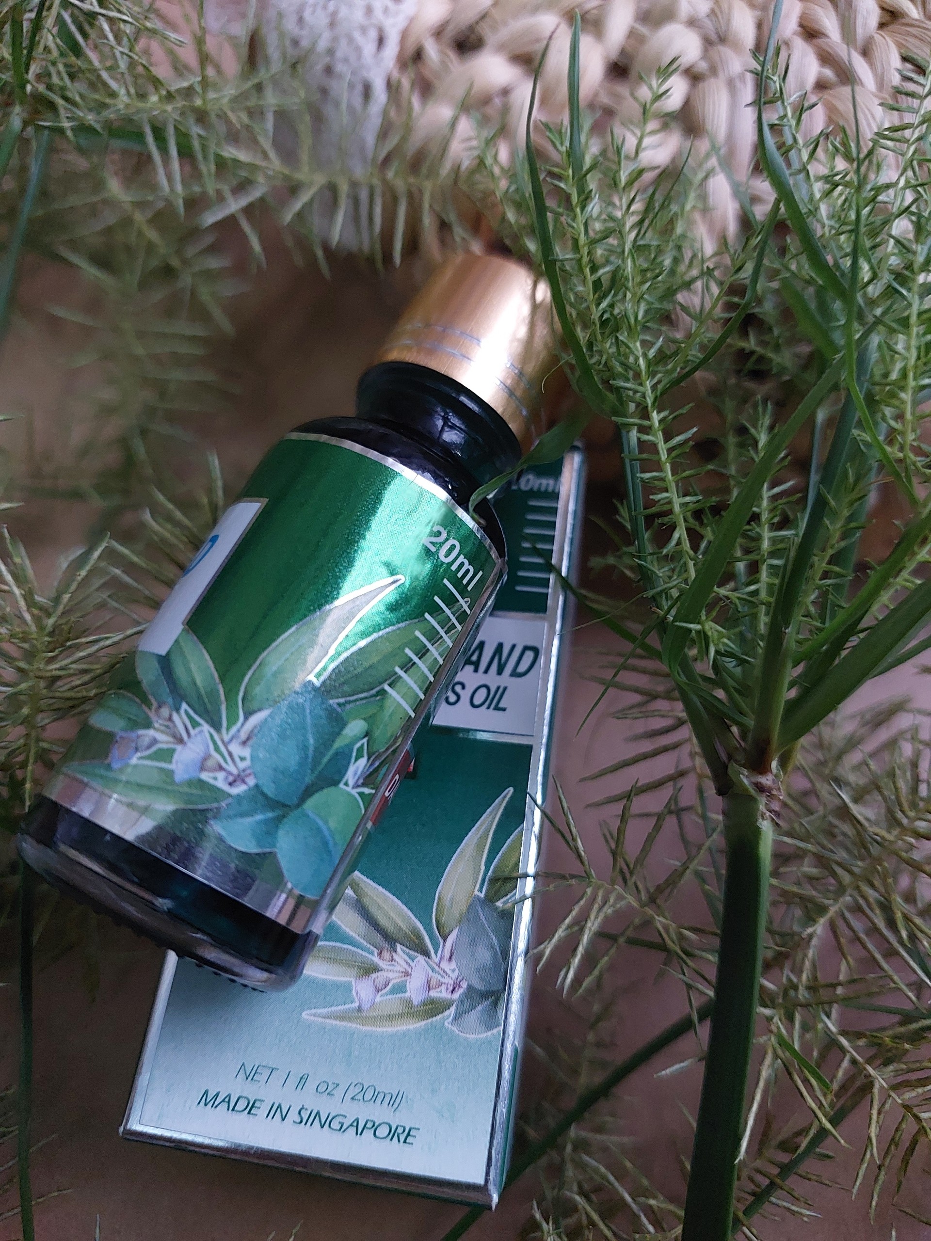 CHAI DẦU KHUYNH DIỆP SINGAPOR 20ML