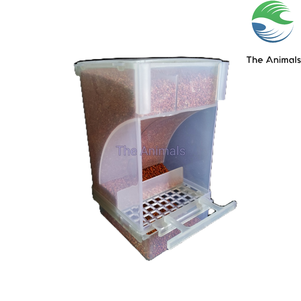 Hộp đựng thức ăn tự động cho chim cảnh