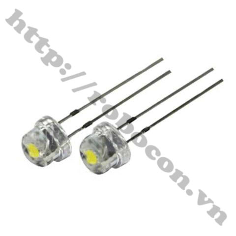 SET 5 LED LÙN 8MM TRẮNG