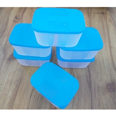 Hộp trữ đông Tupperware 650ml dẹt