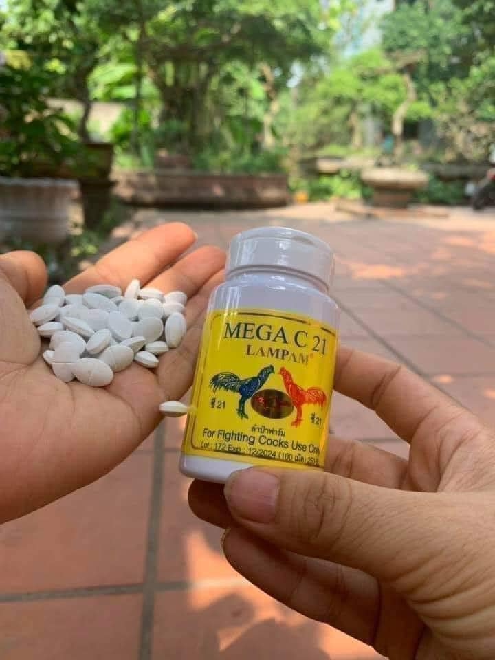 Mega C21 Kích Lực trước đá 7-10 ngày cho Gà Đá