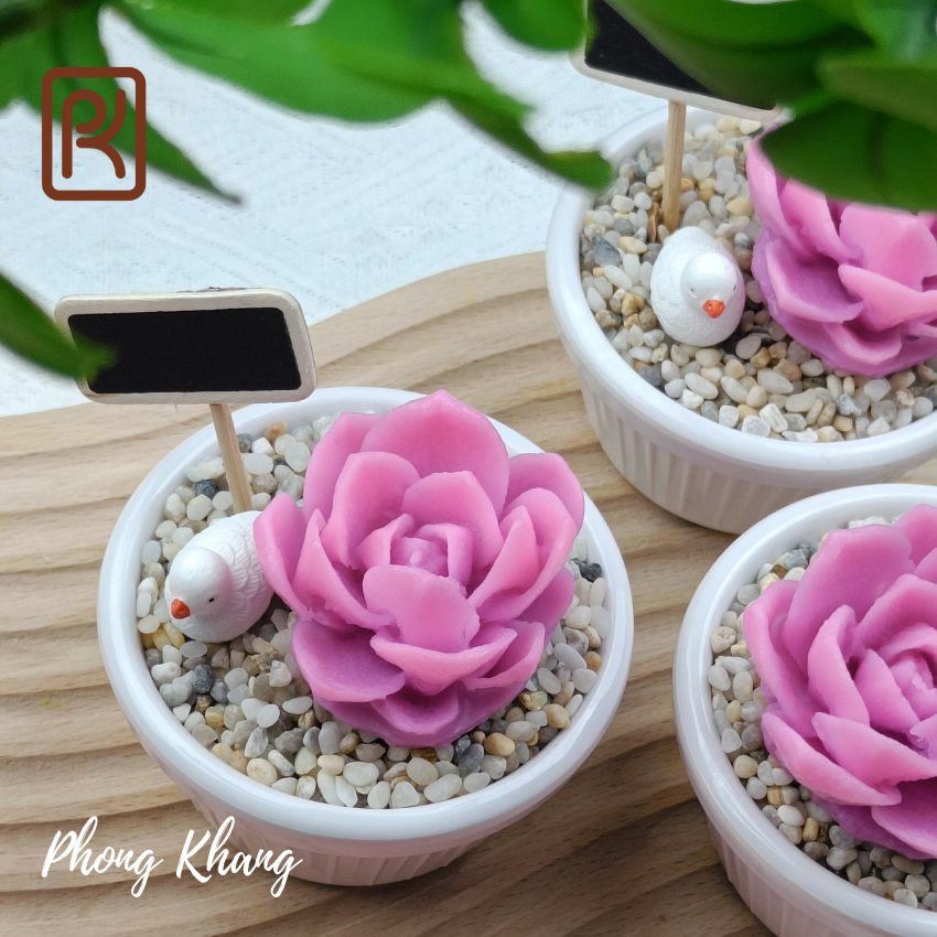 Khuôn silicon 4d Phong Khang làm rau câu sen đá