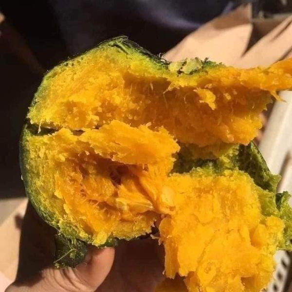 Hạt giống bí nhật da xanh gói 10 hạt