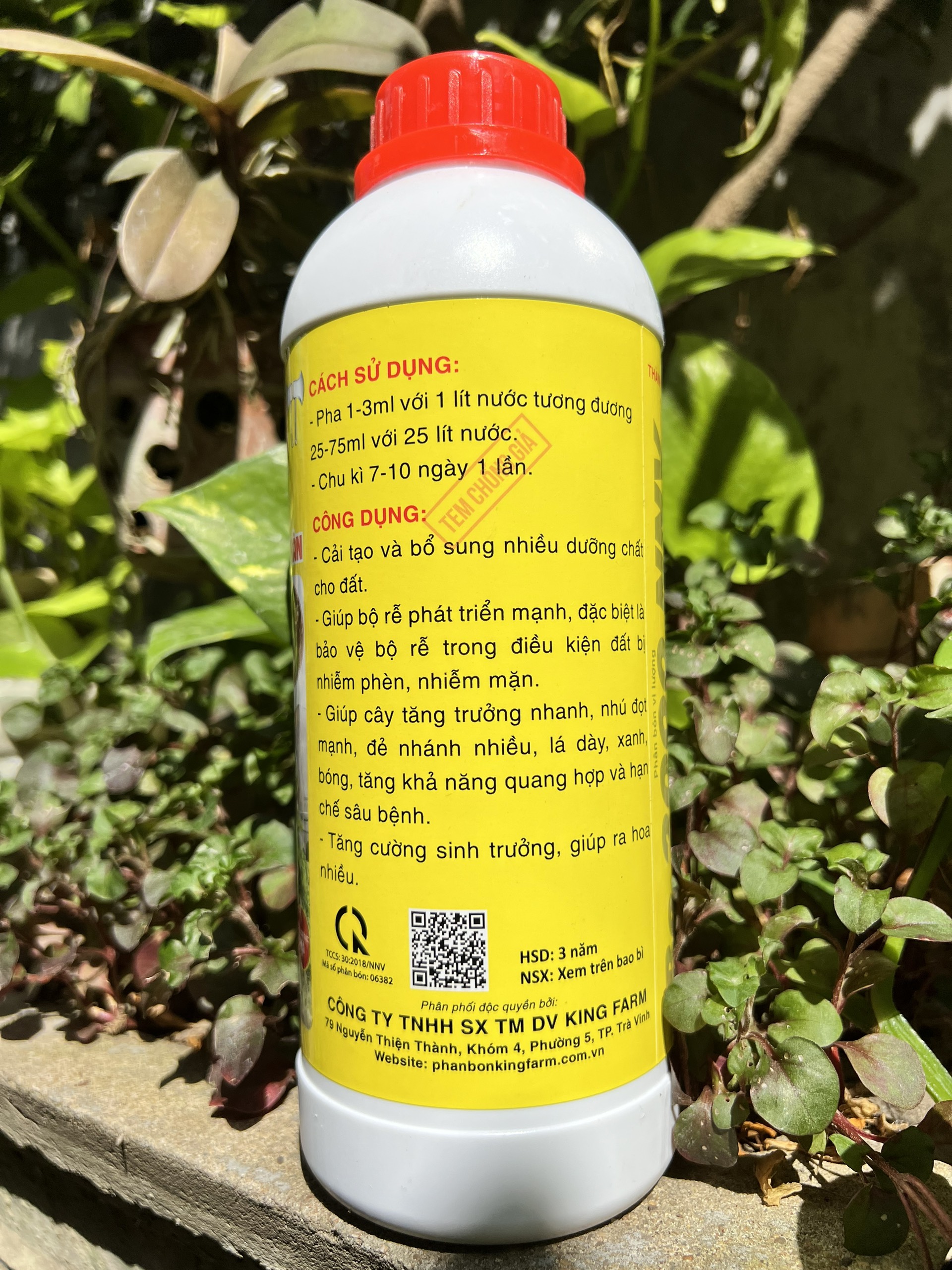 Phân Bón Chuyên Mai Vàng Max Root Bung Đọt Ra Rễ Chai 1 Lít