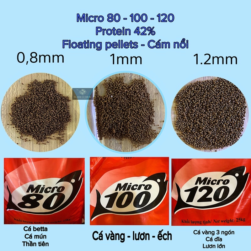 TÚI 1KG-1 KÝ CÁM MICRO 80, HẠT NỔI 0,8MM