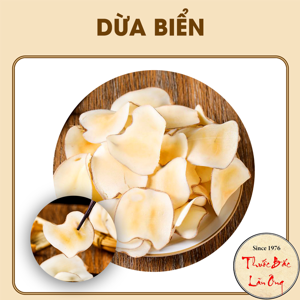 Dừa biển khô 500g, dùng nấu canh, pha trà bổ phế, thanh nhiệt, tốt cho sức khỏe - Lãn Ông