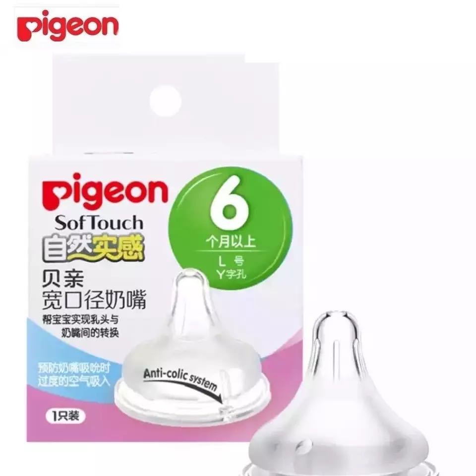 Núm ti Pigeon