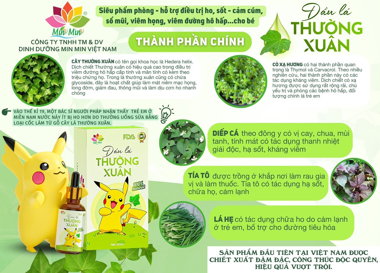 dầu lá thường xuân MinMin