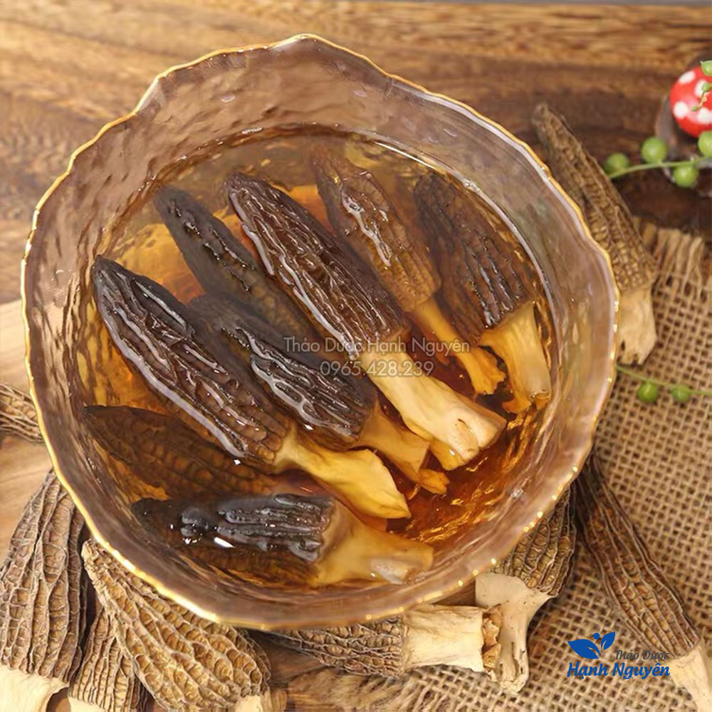 Nấm bụng dê 50g, nấm quý nấu canh, lẩu nấm, nấm dưỡng sinh, bổ dưỡng, tăng cường sức khỏe